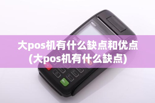 大pos机有什么缺点和优点(大pos机有什么缺点)