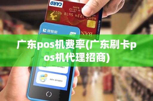 广东pos机费率(广东刷卡pos机代理招商)