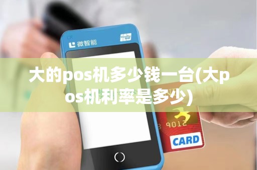 大的pos机多少钱一台(大pos机利率是多少)