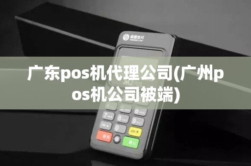 广东pos机代理公司(广州pos机公司被端)