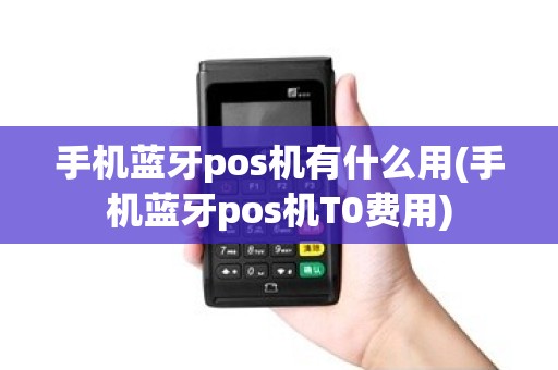 手机蓝牙pos机有什么用(手机蓝牙pos机T0费用)