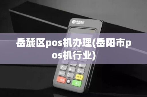 岳麓区pos机办理(岳阳市pos机行业)