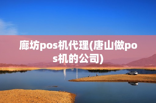 廊坊pos机代理(唐山做pos机的公司)