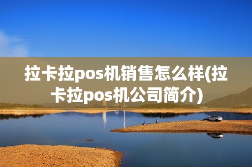 拉卡拉pos机销售怎么样(拉卡拉pos机公司简介)