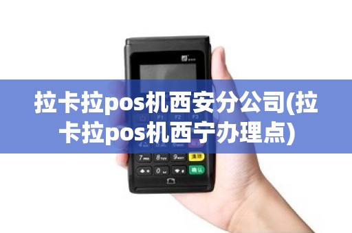 拉卡拉pos机西安分公司(拉卡拉pos机西宁办理点)
