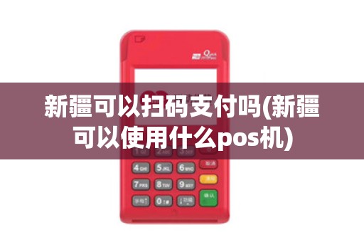 新疆可以扫码支付吗(新疆可以使用什么pos机)