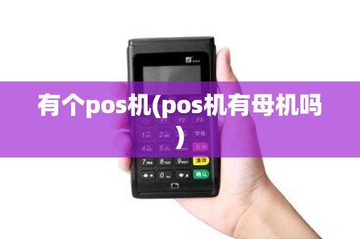 有个pos机(pos机有母机吗)