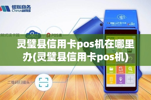 灵璧县信用卡pos机在哪里办(灵璧县信用卡pos机)