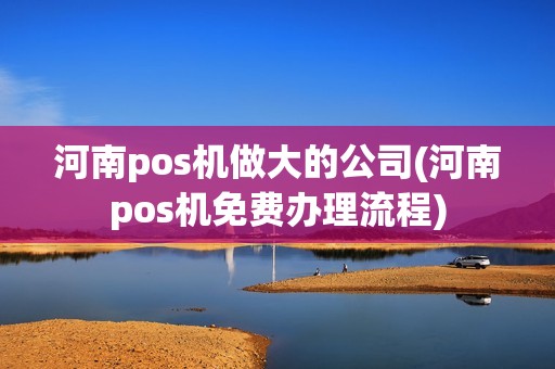 河南pos机做大的公司(河南pos机免费办理流程)