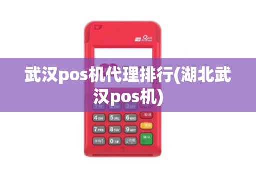 武汉pos机代理排行(湖北武汉pos机)