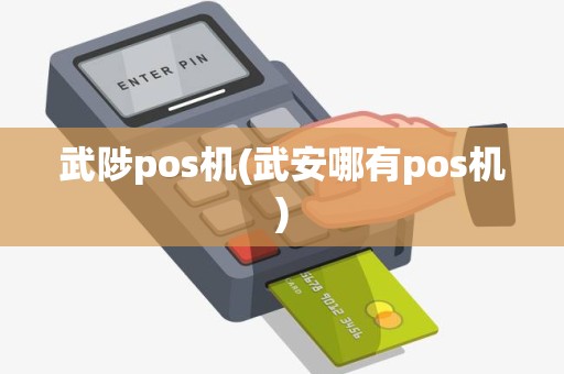 武陟pos机(武安哪有pos机)