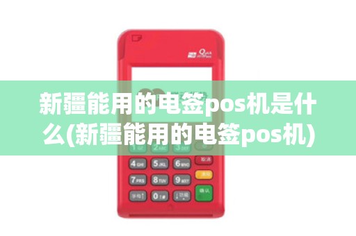 新疆能用的电签pos机是什么(新疆能用的电签pos机)