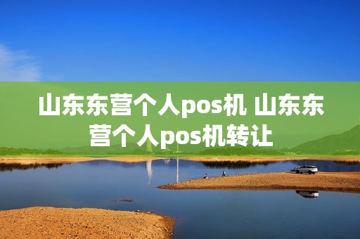 山东东营个人pos机 山东东营个人pos机转让
