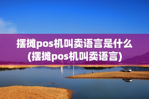 摆摊pos机叫卖语言是什么(摆摊pos机叫卖语言)