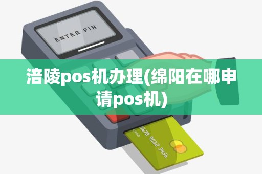 涪陵pos机办理(绵阳在哪申请pos机)