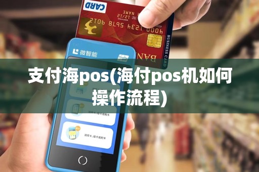 支付海pos(海付pos机如何操作流程)