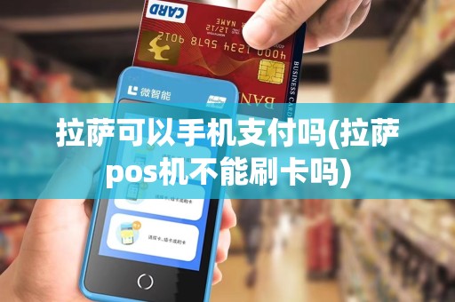拉萨可以手机支付吗(拉萨pos机不能刷卡吗)