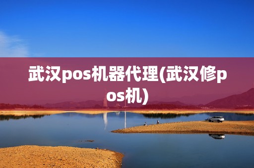 武汉pos机器代理(武汉修pos机)