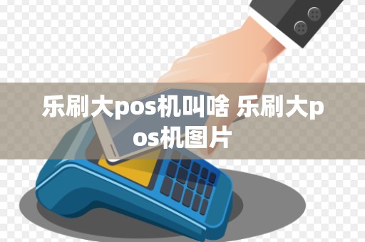 乐刷大pos机叫啥 乐刷大pos机图片