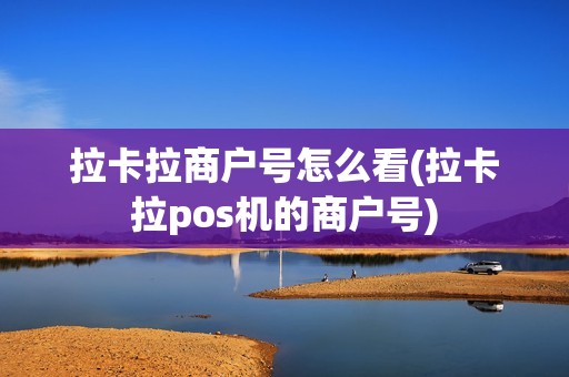 拉卡拉商户号怎么看(拉卡拉pos机的商户号)