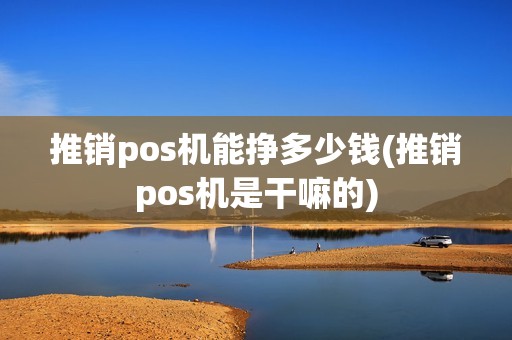 推销pos机能挣多少钱(推销pos机是干嘛的)