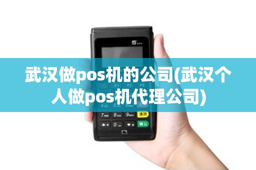 武汉做pos机的公司(武汉个人做pos机代理公司)
