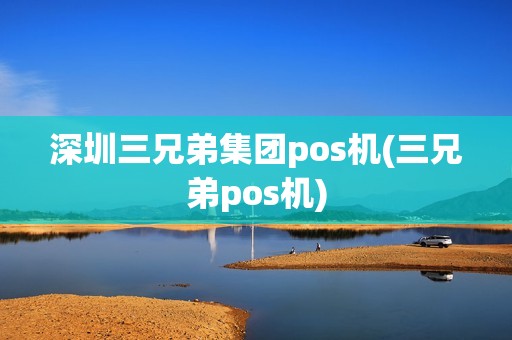 深圳三兄弟集团pos机(三兄弟pos机)
