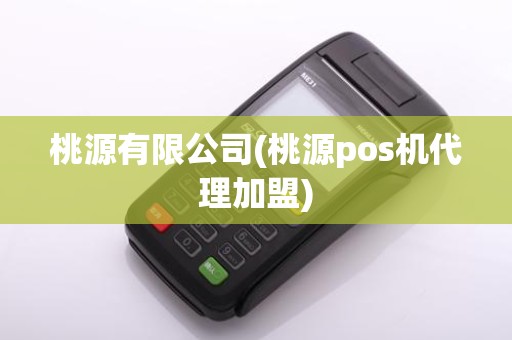 桃源有限公司(桃源pos机代理加盟)