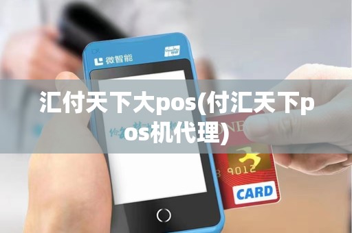 汇付天下大pos(付汇天下pos机代理)