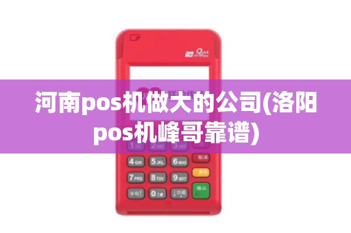 河南pos机做大的公司(洛阳pos机峰哥靠谱)