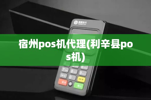 宿州pos机代理(利辛县pos机)