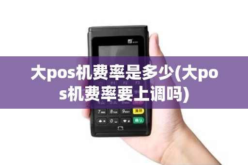 大pos机费率是多少(大pos机费率要上调吗)
