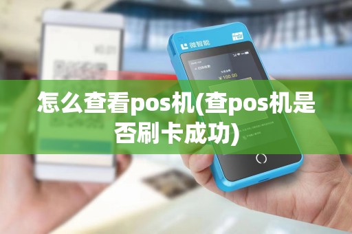 怎么查看pos机(查pos机是否刷卡成功)