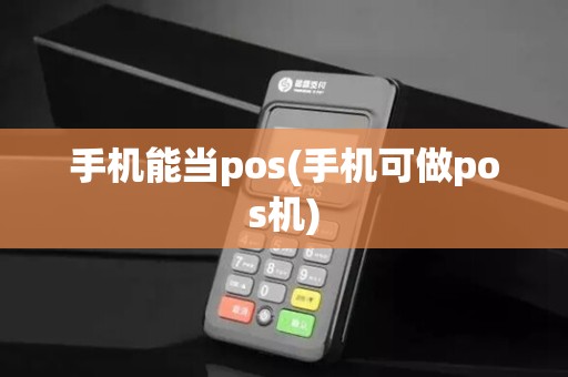 手机能当pos(手机可做pos机)