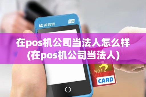 在pos机公司当法人怎么样(在pos机公司当法人)