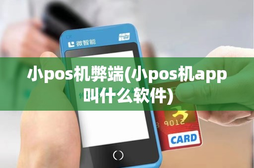 小pos机弊端(小pos机app叫什么软件)
