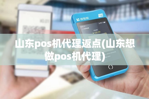 山东pos机代理返点(山东想做pos机代理)