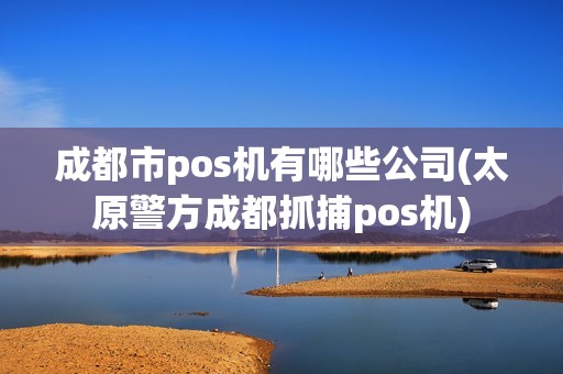 成都市pos机有哪些公司(太原警方成都抓捕pos机)