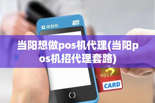 当阳想做pos机代理(当阳pos机招代理套路)