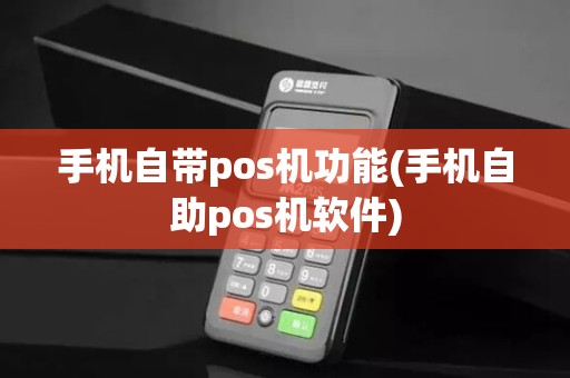 手机自带pos机功能(手机自助pos机软件)