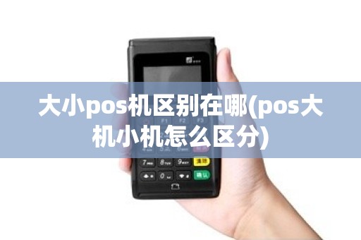大小pos机区别在哪(pos大机小机怎么区分)