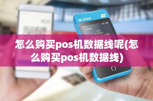 怎么购买pos机数据线呢(怎么购买pos机数据线)