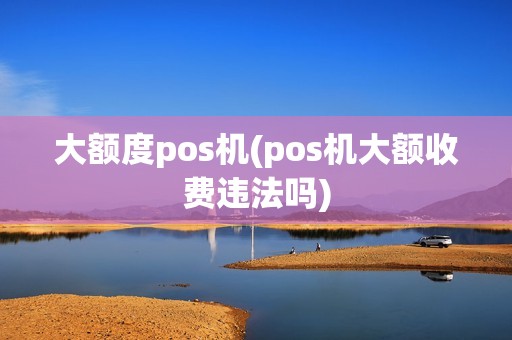 大额度pos机(pos机大额收费违法吗)
