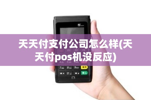 天天付支付公司怎么样(天天付pos机没反应)