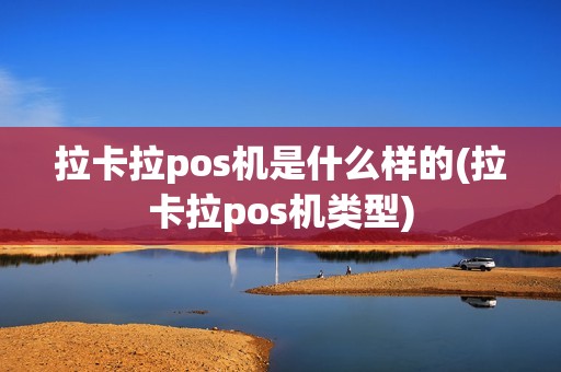 拉卡拉pos机是什么样的(拉卡拉pos机类型)