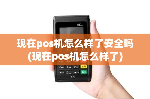 现在pos机怎么样了安全吗(现在pos机怎么样了)