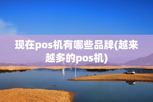 现在pos机有哪些品牌(越来越多的pos机)