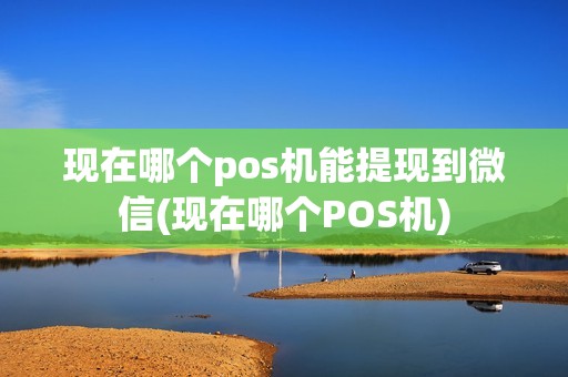 现在哪个pos机能提现到微信(现在哪个POS机)
