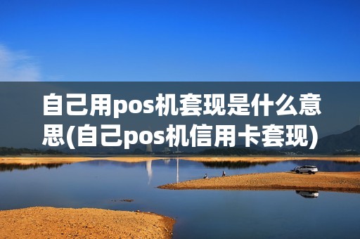 自己用pos机套现是什么意思(自己pos机信用卡套现)