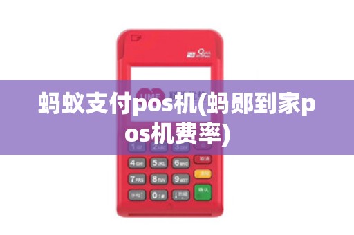 蚂蚁支付pos机(蚂郧到家pos机费率)
